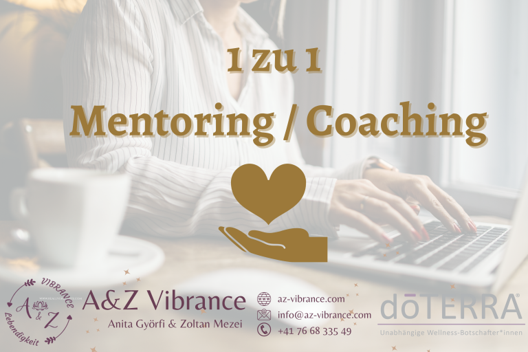 1 zu 1 Mentoring / Coaching